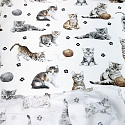 Bavlněné látky vzor Kočky a klubko na bílém