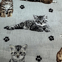Tissu coton au métre imprimé Chat et sindice couleur gris clair