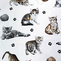 Tissu coton au métre imprimé Chat et sindice couleur blanche